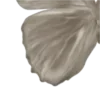 🦋