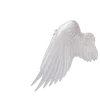 🕊️