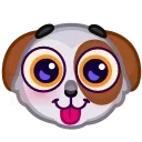 🐶