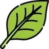 🍃