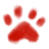 🐾