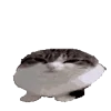 🥚