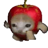 🍎