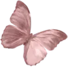 🦋