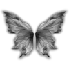 🦋