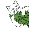 🌿