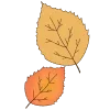 🍂