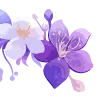 🌸