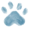 🐾