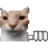 😼