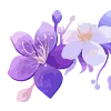 🌸