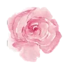 🌸