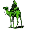 🐪