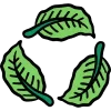 🍃