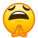 🙏