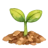 🤩