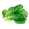🥦
