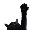 🐈‍⬛