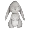 🐰