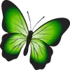 🦋