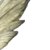 🪽