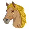 🐎