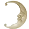 🌜
