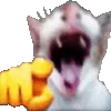 😺