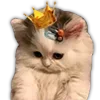 👸