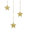 🌟