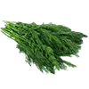 🥦