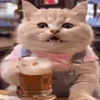 🍻