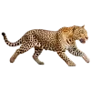 🐆