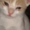 😢