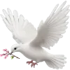 🕊