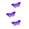 🌟