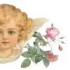 👼