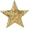 🌟