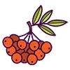 🍒