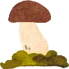 🍄‍🟫