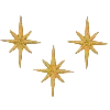 ✨