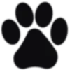 🐱