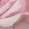 🤩
