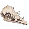 🐦