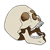 💀