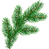 🌲