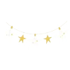 🌟