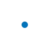 🔵