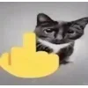 🖕