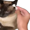 👂